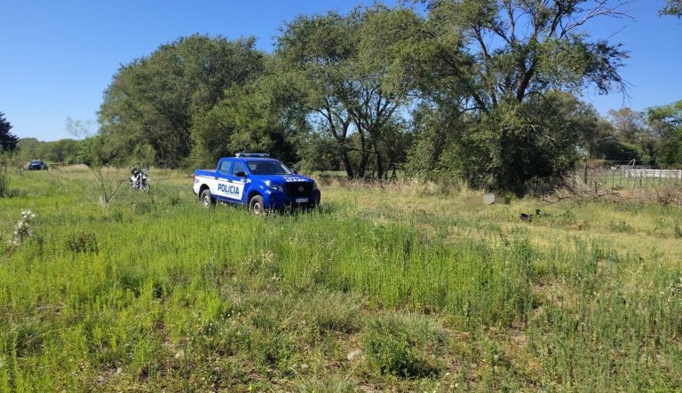 WhatsApp Image 2026-01-01 at 6.58