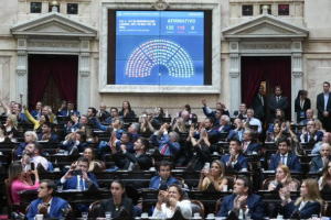Con discapacidad y endeudamiento como temas principales, Diputados vuelve a sesi...