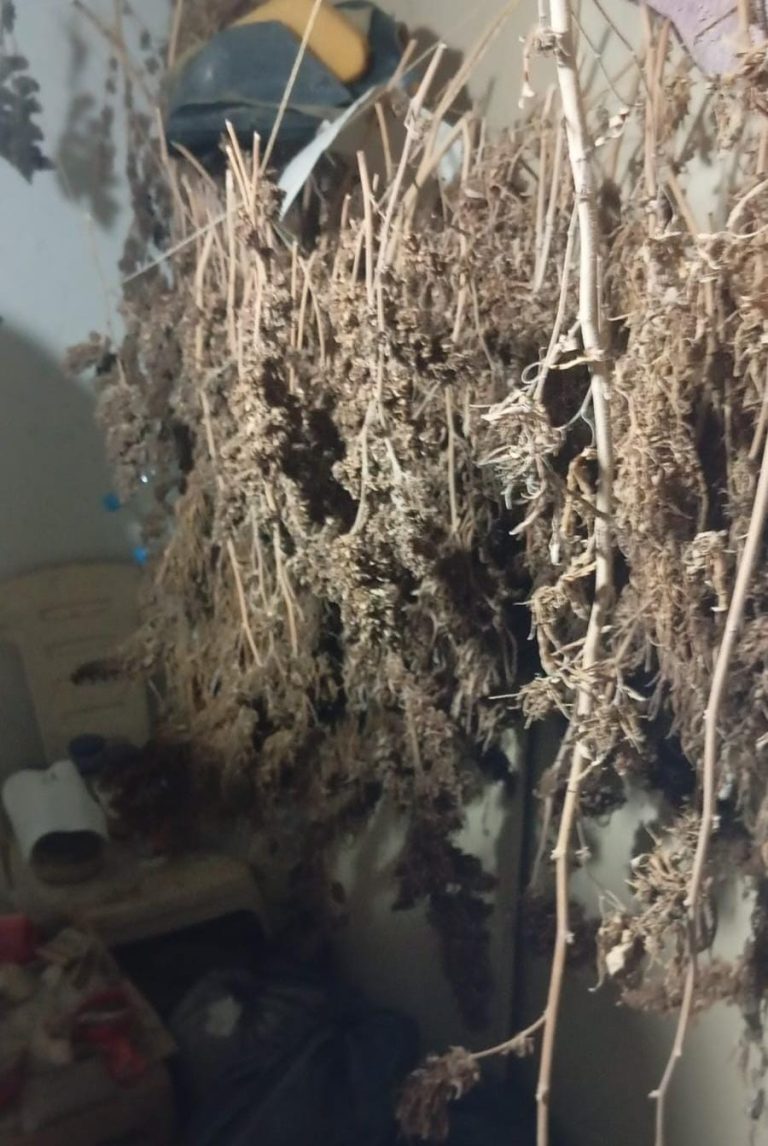 WhatsApp Image 2026-03-11 at 7.47