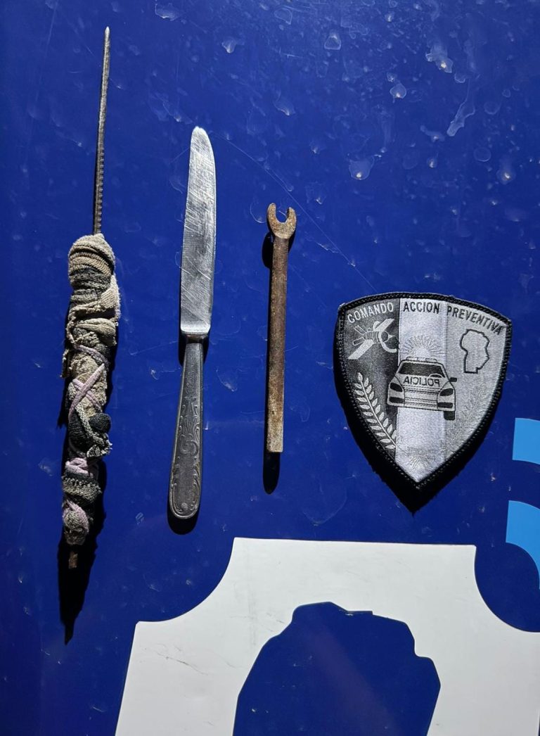 WhatsApp Image 2026-03-17 at 9.19