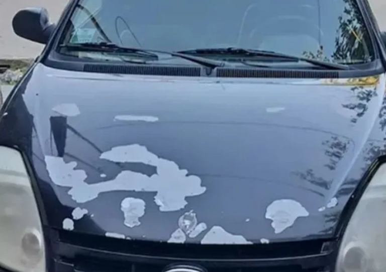 ford-ka-caso-agostina