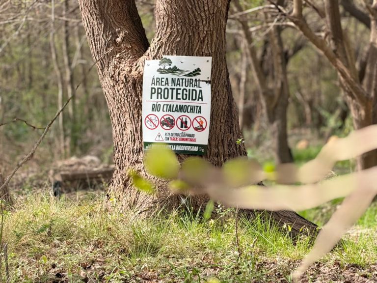 WhatsApp Image 2026-09-06 at 12.00